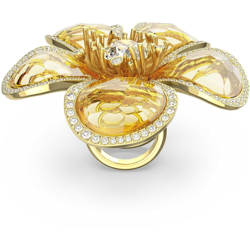 SWAROVSKI 5663074