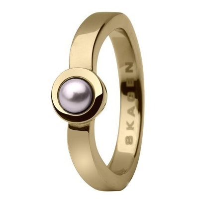 SKAGEN JRSG004SS5