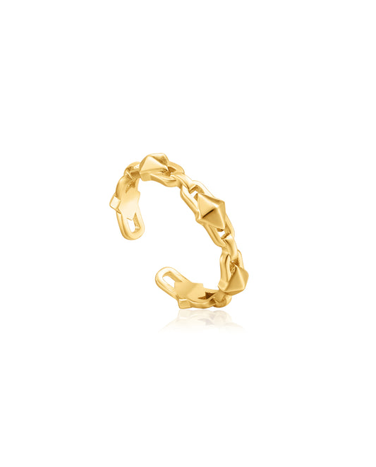 ANIA HAIE R025-02G