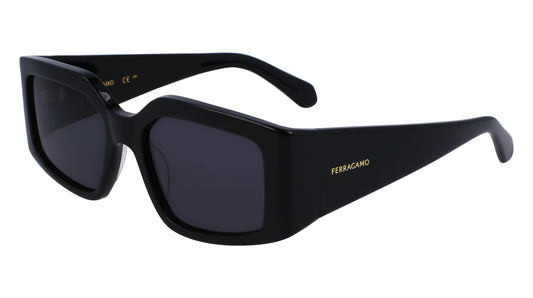 FERRAGAMO SF1101S541800
