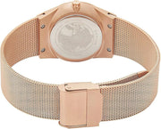 BERING 12430-366