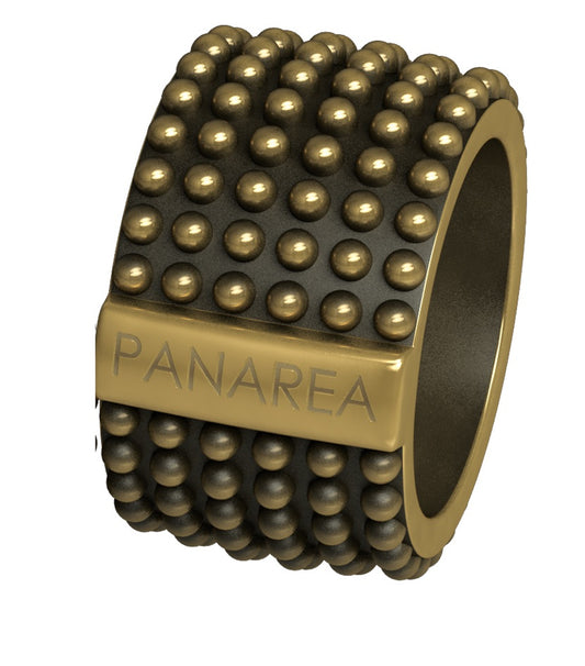 PANAREA AS154RU2