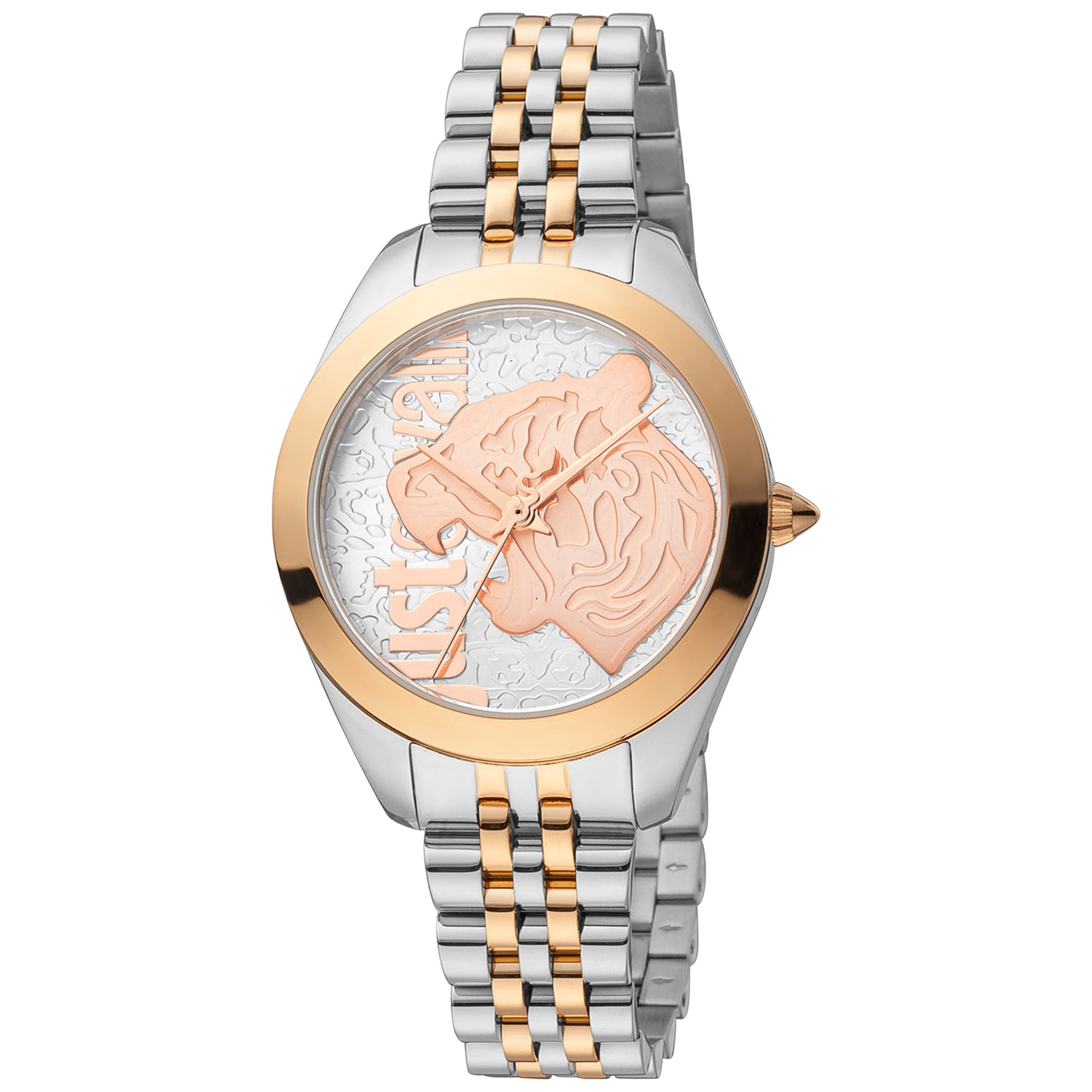 JUST CAVALLI JC1L210M0185