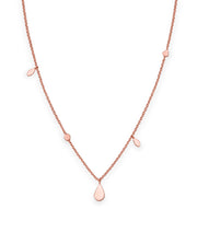 ROSEFIELD JSDNR-J055