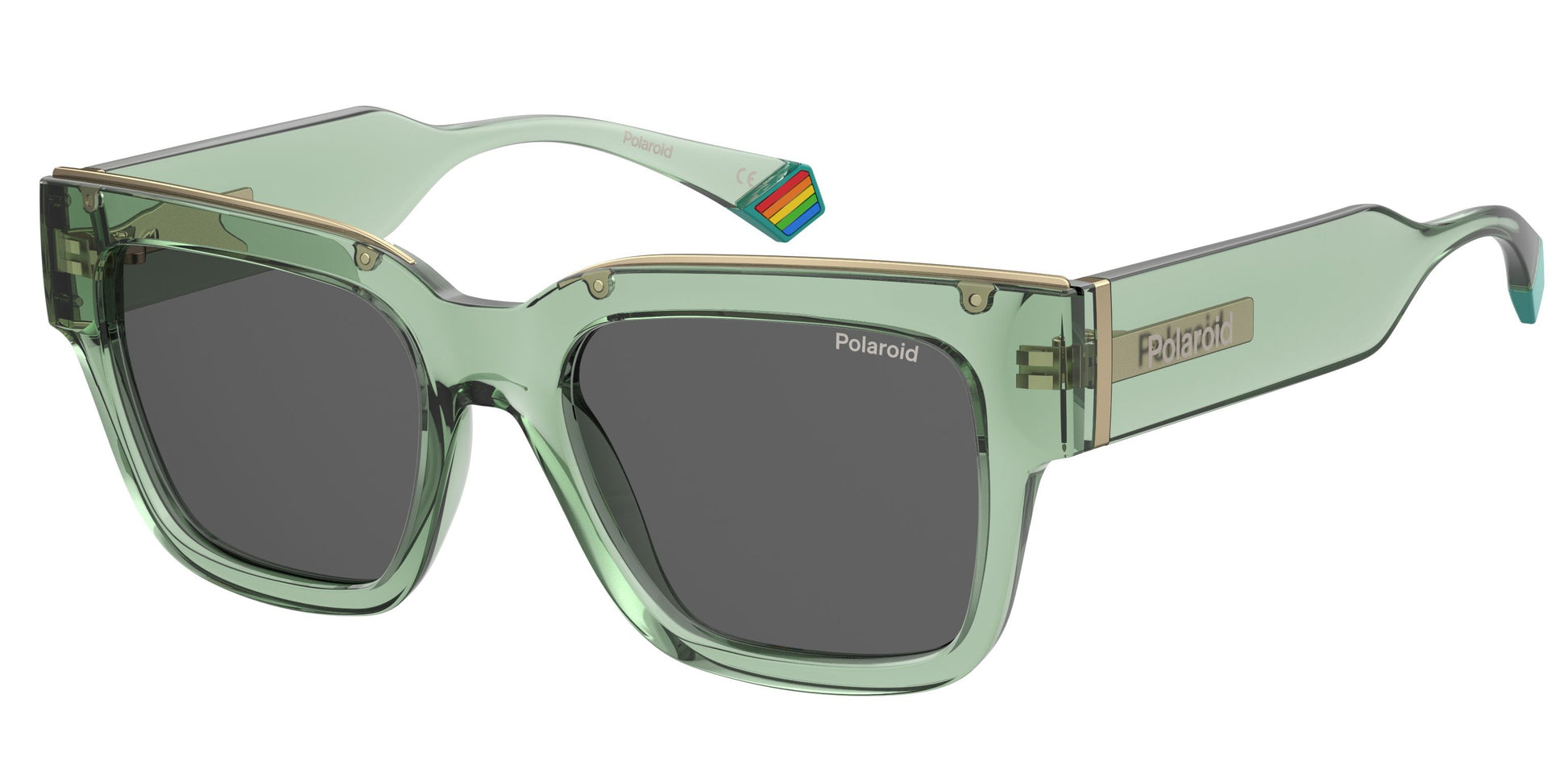 POLAROID PLD6198SXMC1E
