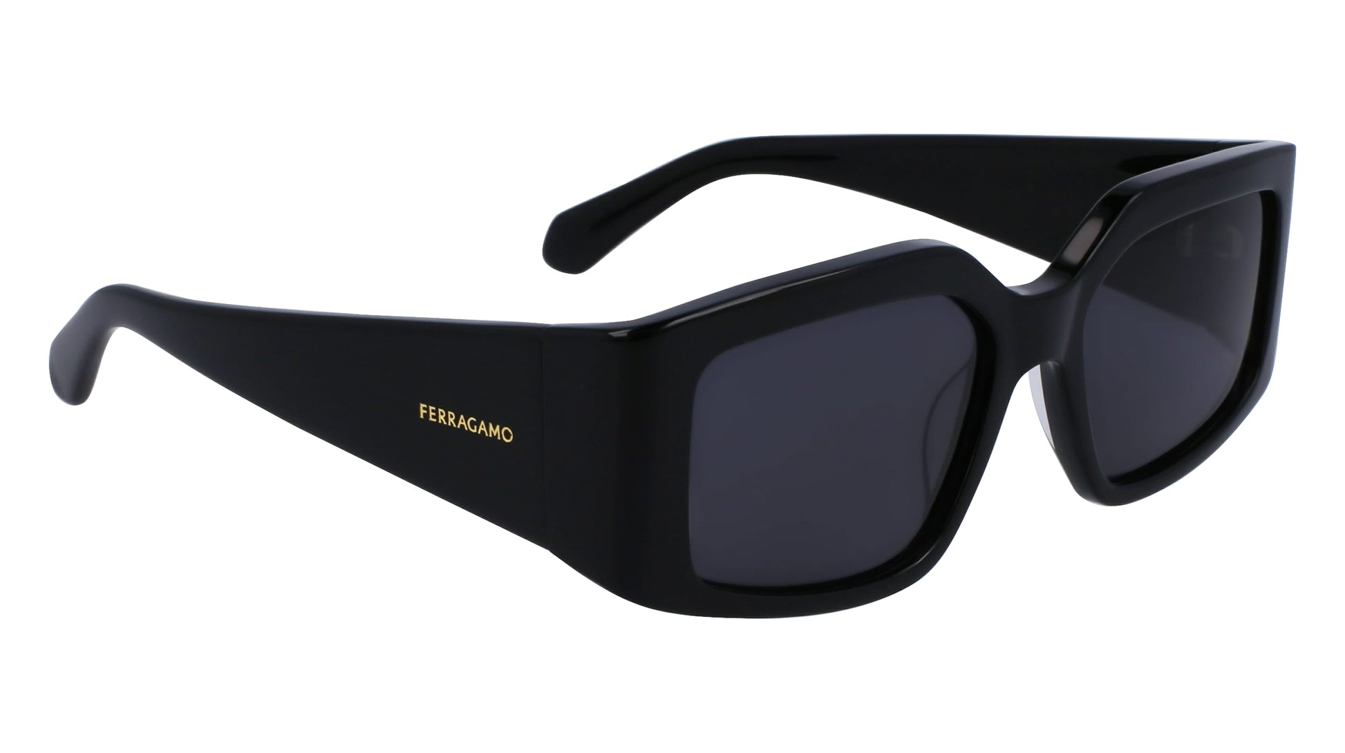 FERRAGAMO SF1101S541800