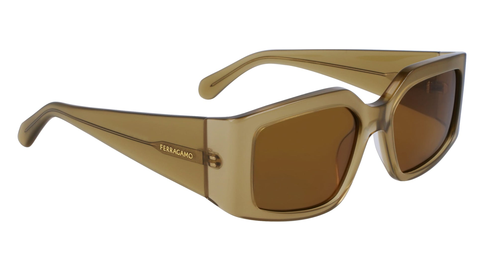 FERRAGAMO SF1101S541833