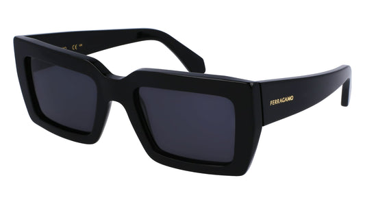 FERRAGAMO SF1108S542100