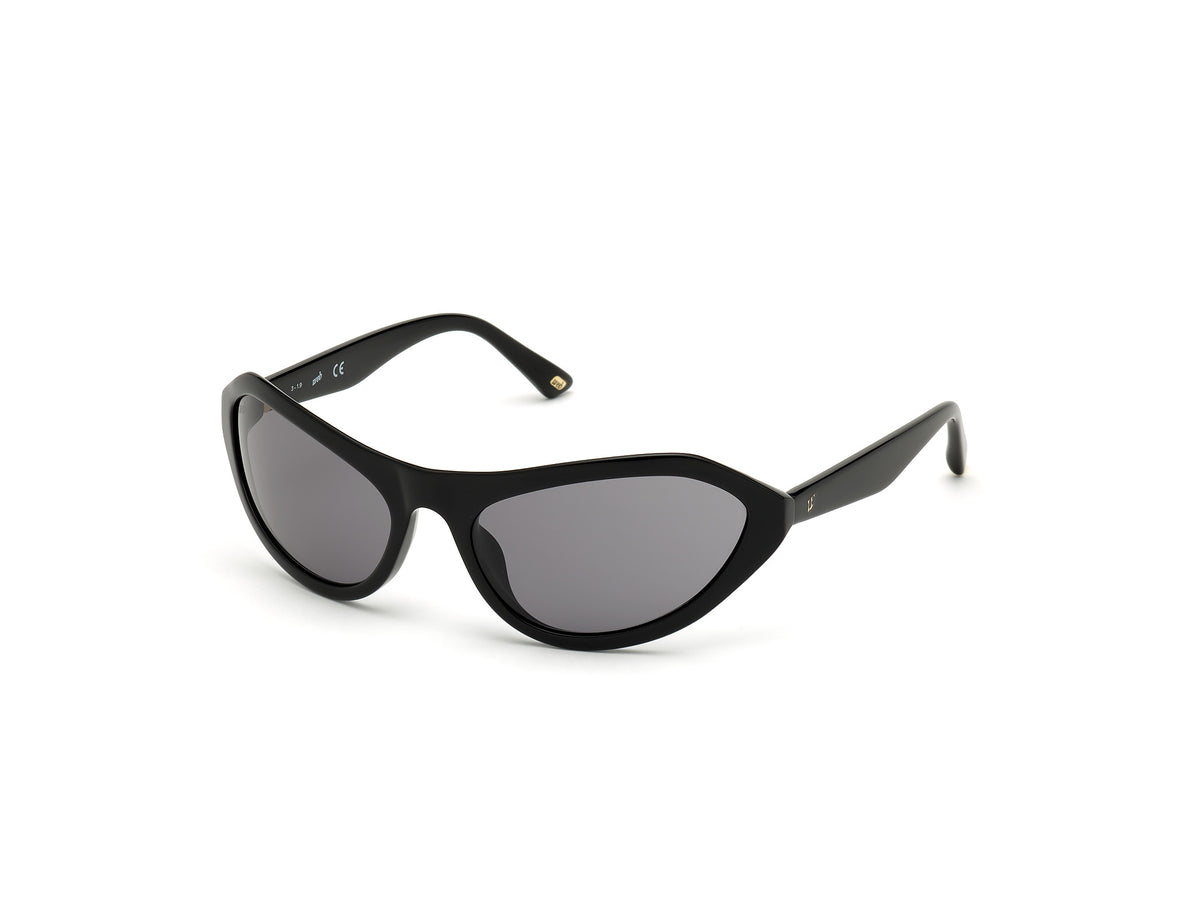 WEB EYEWEAR WE0288-6001A