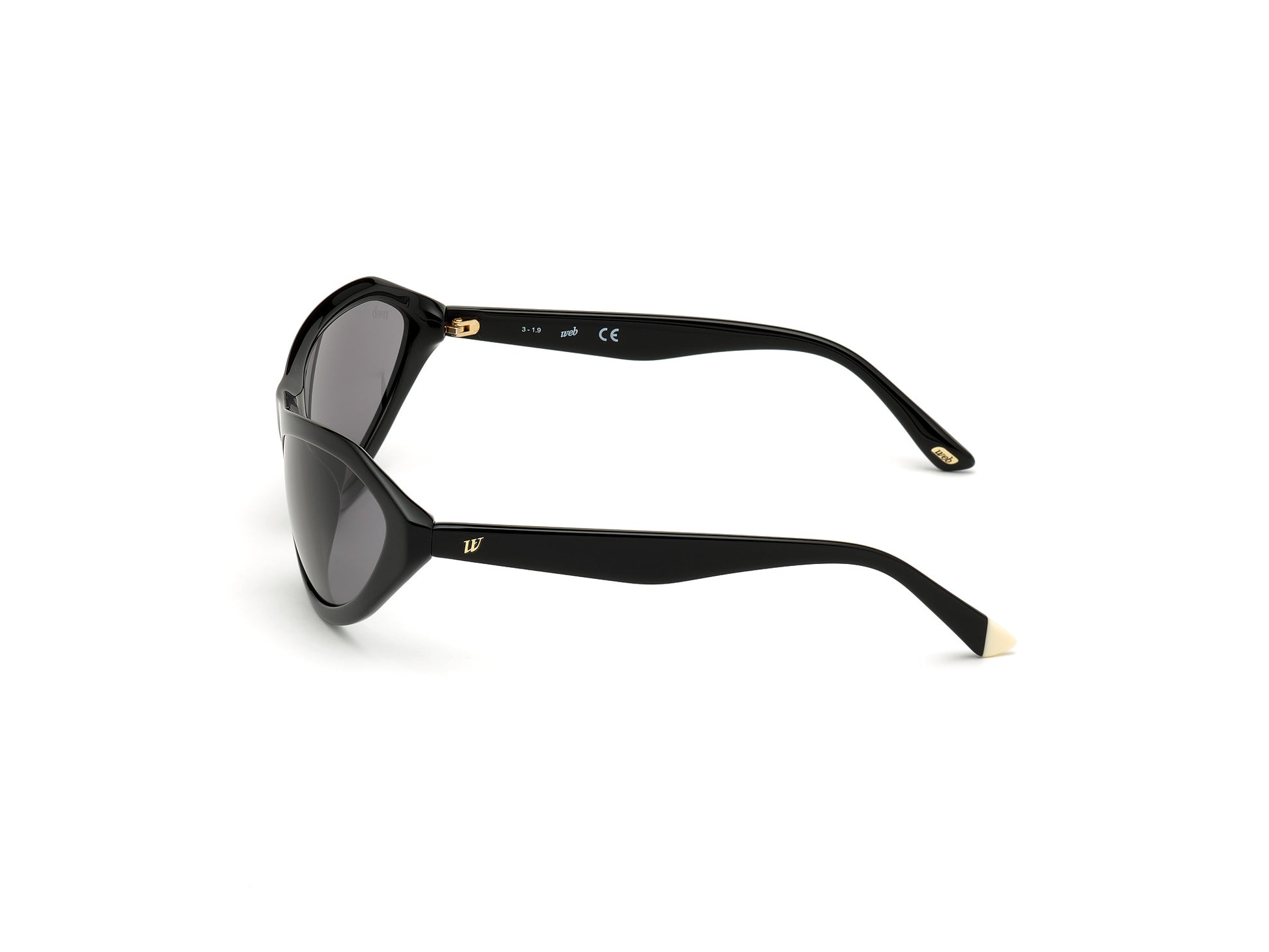 WEB EYEWEAR WE0288-6001A