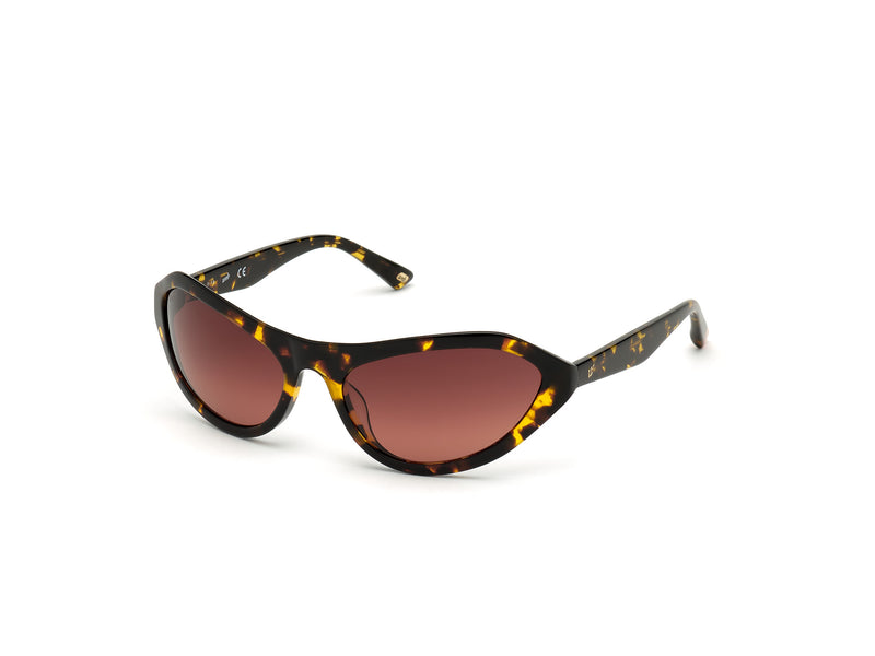 WEB EYEWEAR WE0288-6052F