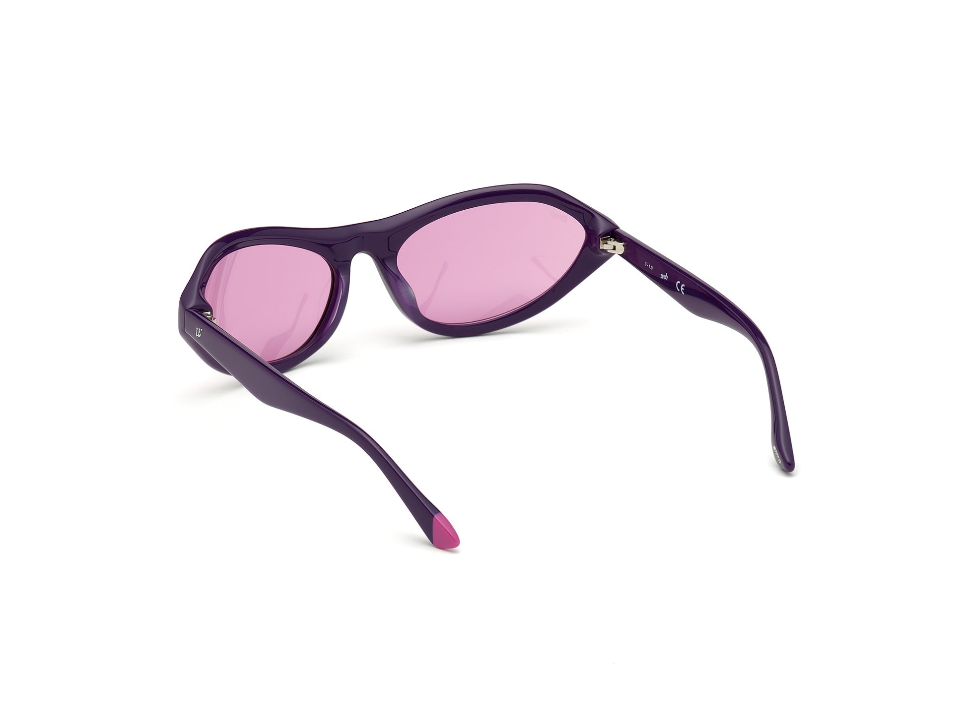 WEB EYEWEAR WE0288-6081S