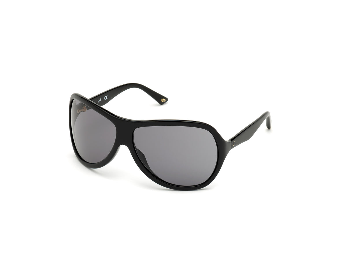 WEB EYEWEAR WE0290-6501A