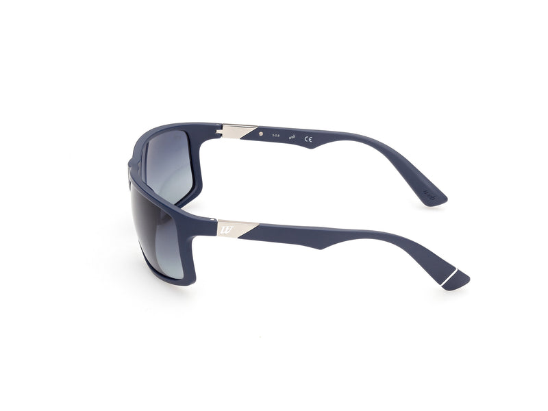 WEB EYEWEAR WE0293-6391V