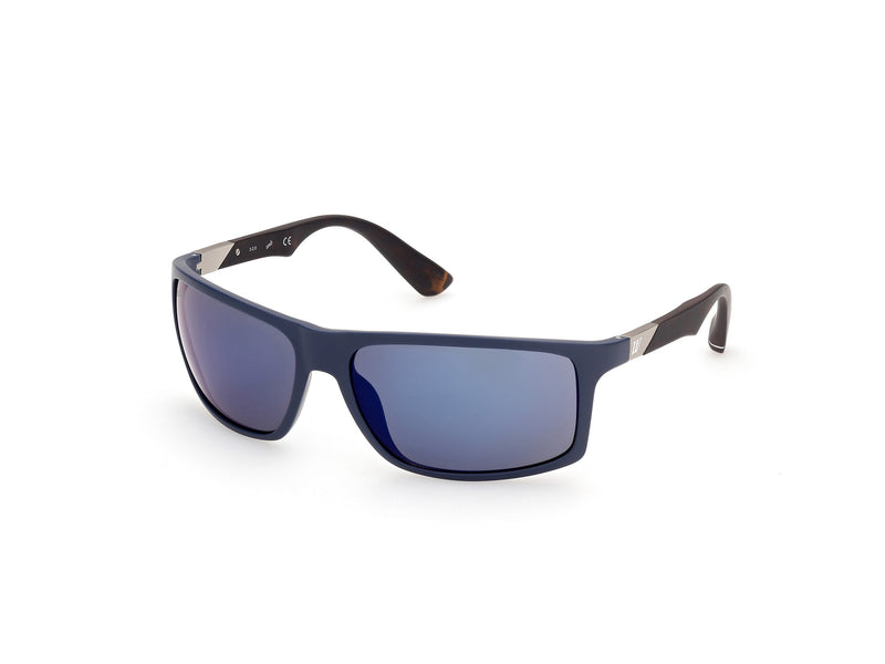 WEB EYEWEAR WE0293-6392C