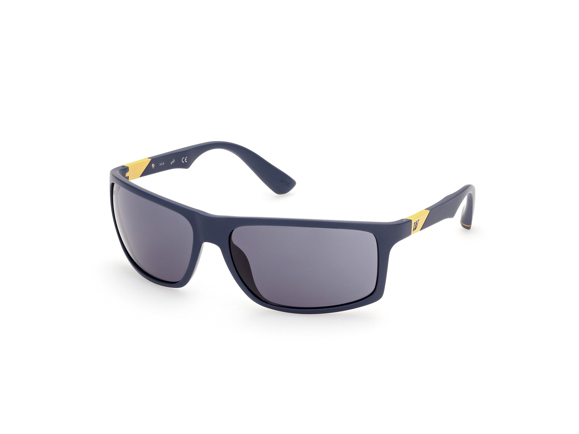 WEB EYEWEAR WE0293-6392V