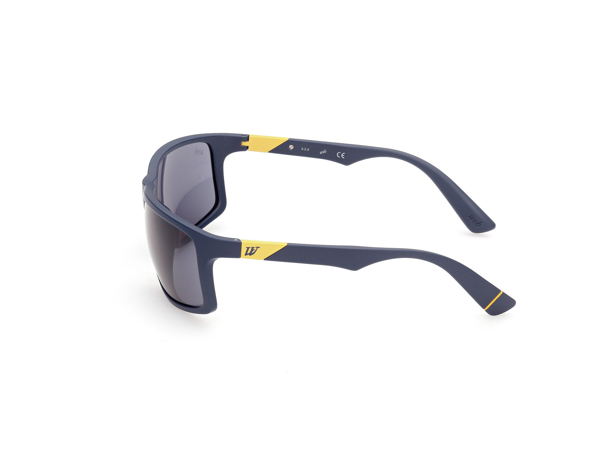 WEB EYEWEAR WE0293-6392V