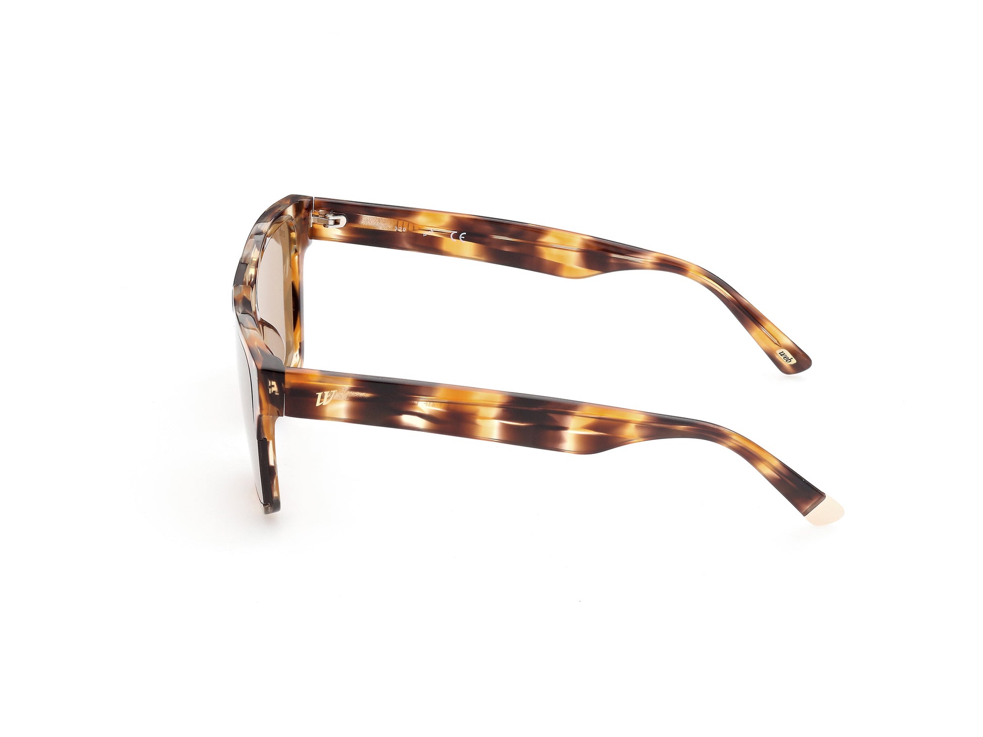WEB EYEWEAR WE0314-0041F