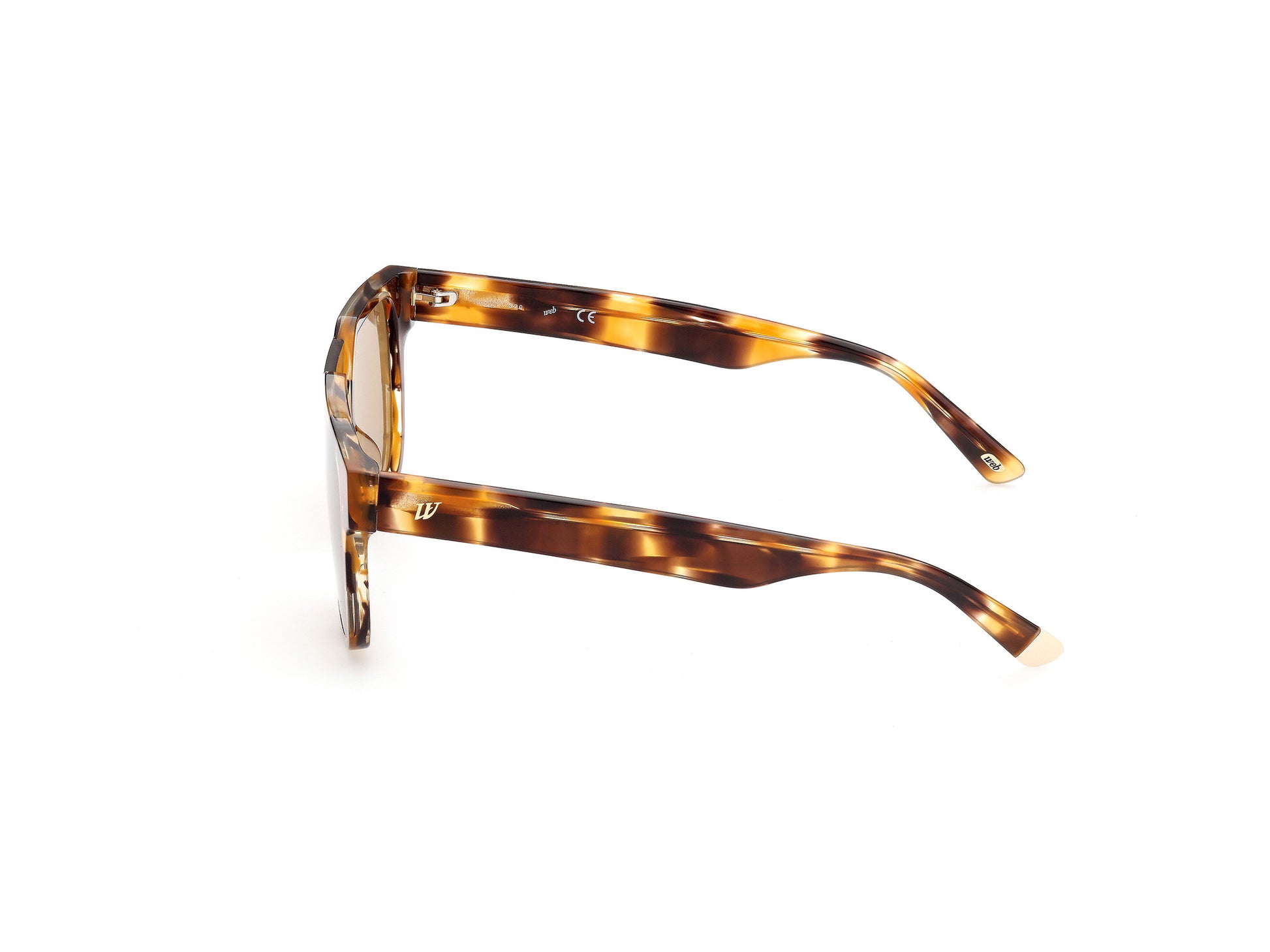 WEB EYEWEAR WE0315-0041F
